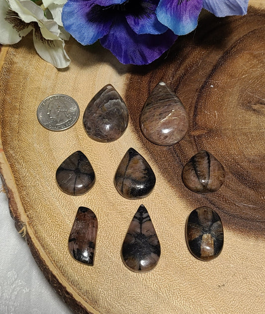 Chiastolite Cabochons - Strength, Power, Perseverance, Grounding & Calm