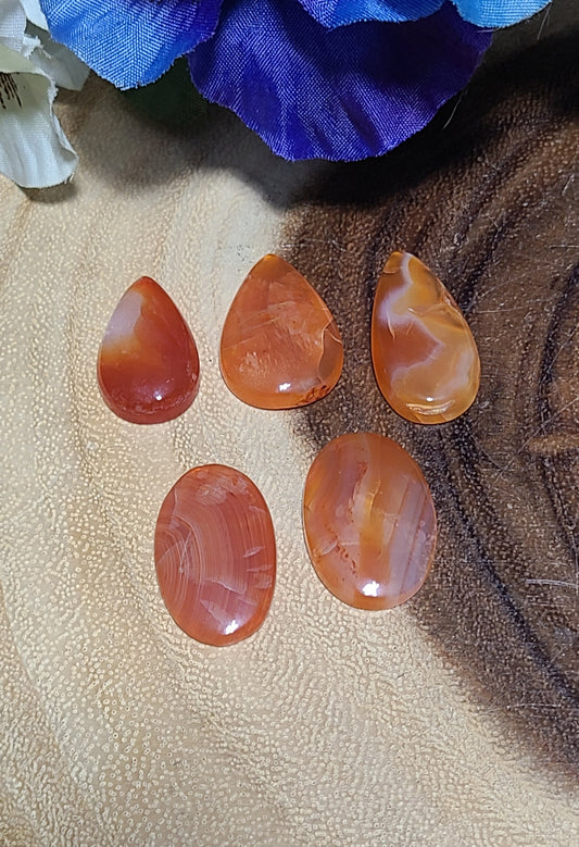 Carnelian Cabochons / Flatbacks