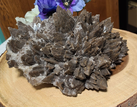 HUGE Frosted Chocolate Dog-Toothed Calcite