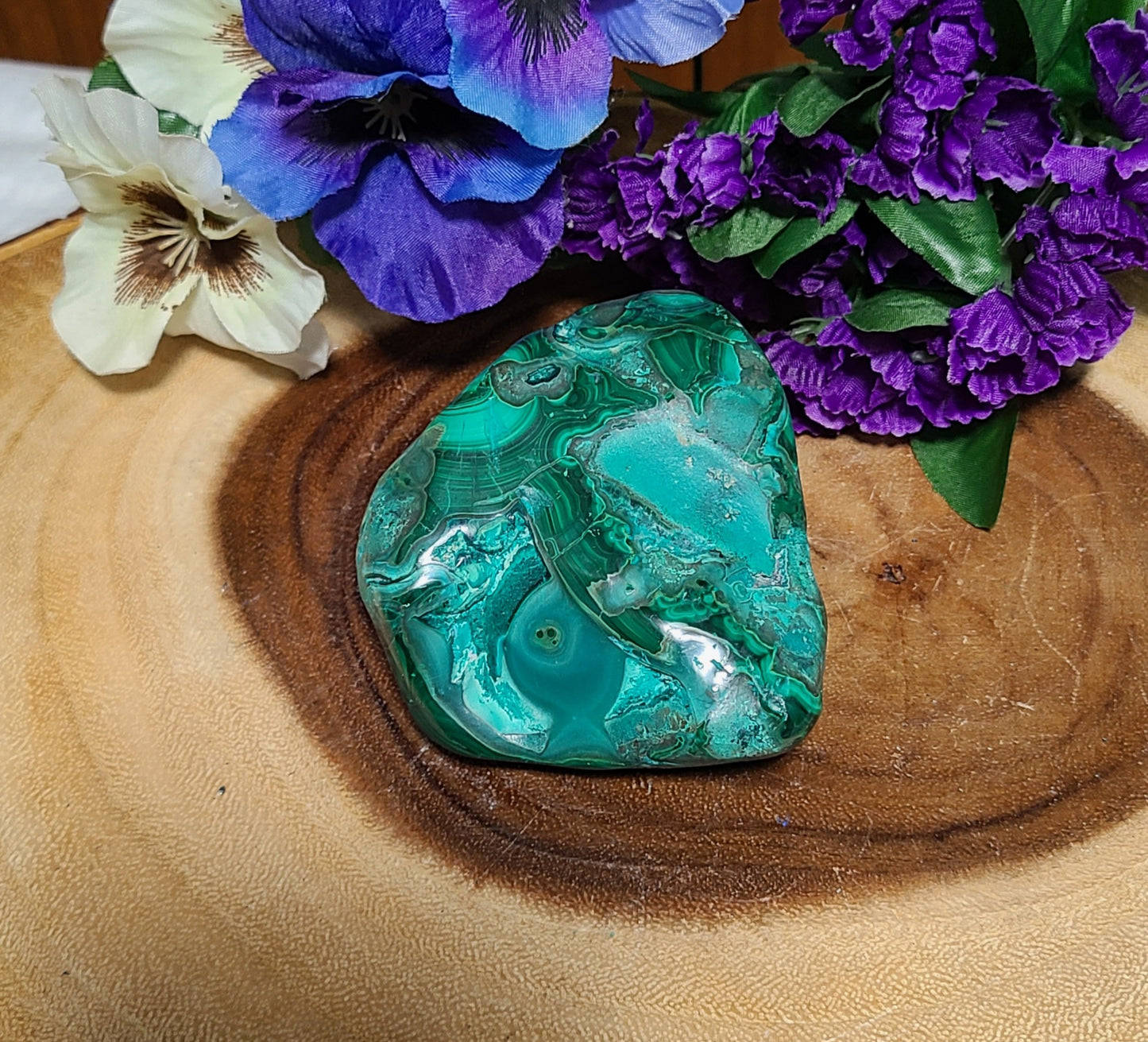 Polished Malachite and Chrysocolla Freeform