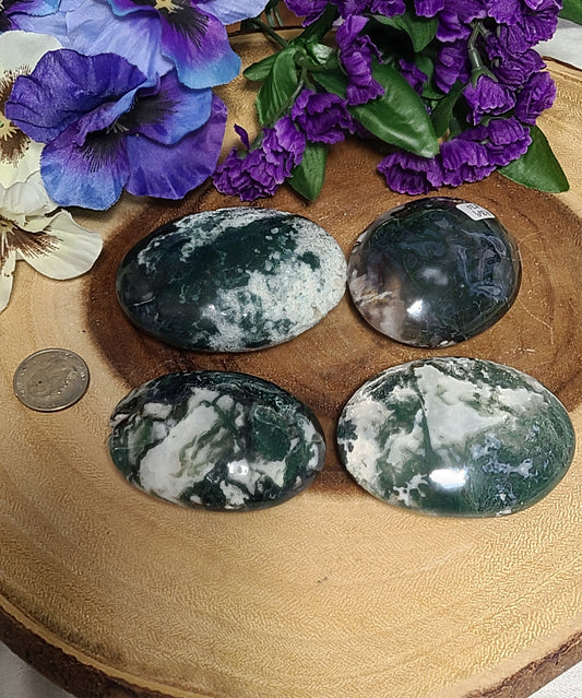 HUGE Moss Agate Boulders / Oversized Palmstones