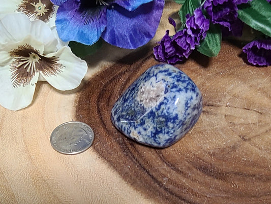 HUGE Sodalite Boulder / Oversized Palmstone