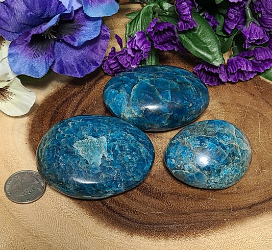 Oversized Blue Apatite Palmstones / Boulders - Multiple Sizes