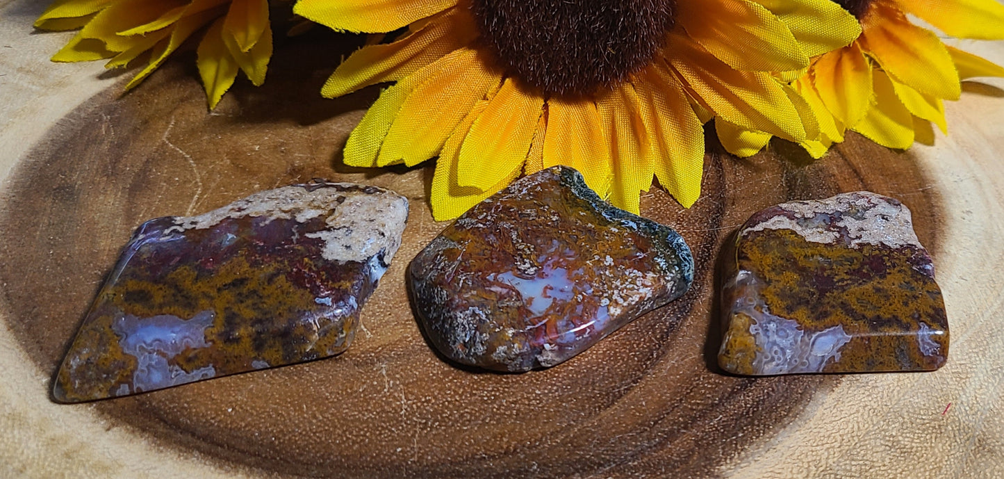 Moss Agate Polished Plates - Tranquility & Balance