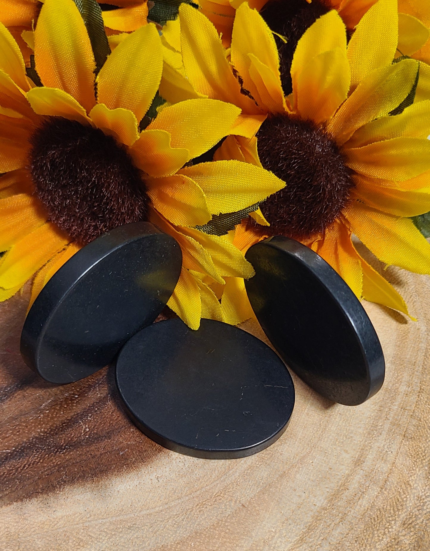 Polished Elite Shungite Discs - Shield & Protect