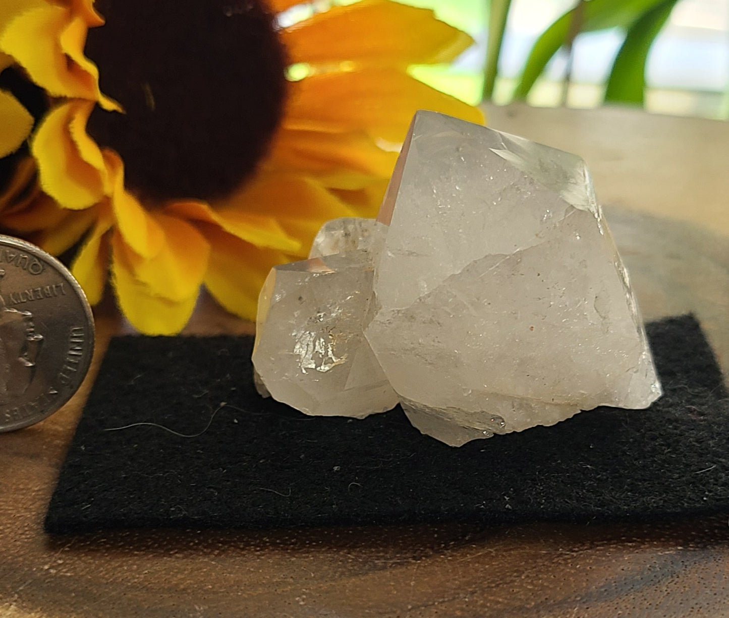 Nirvana Quartz Point Cluster