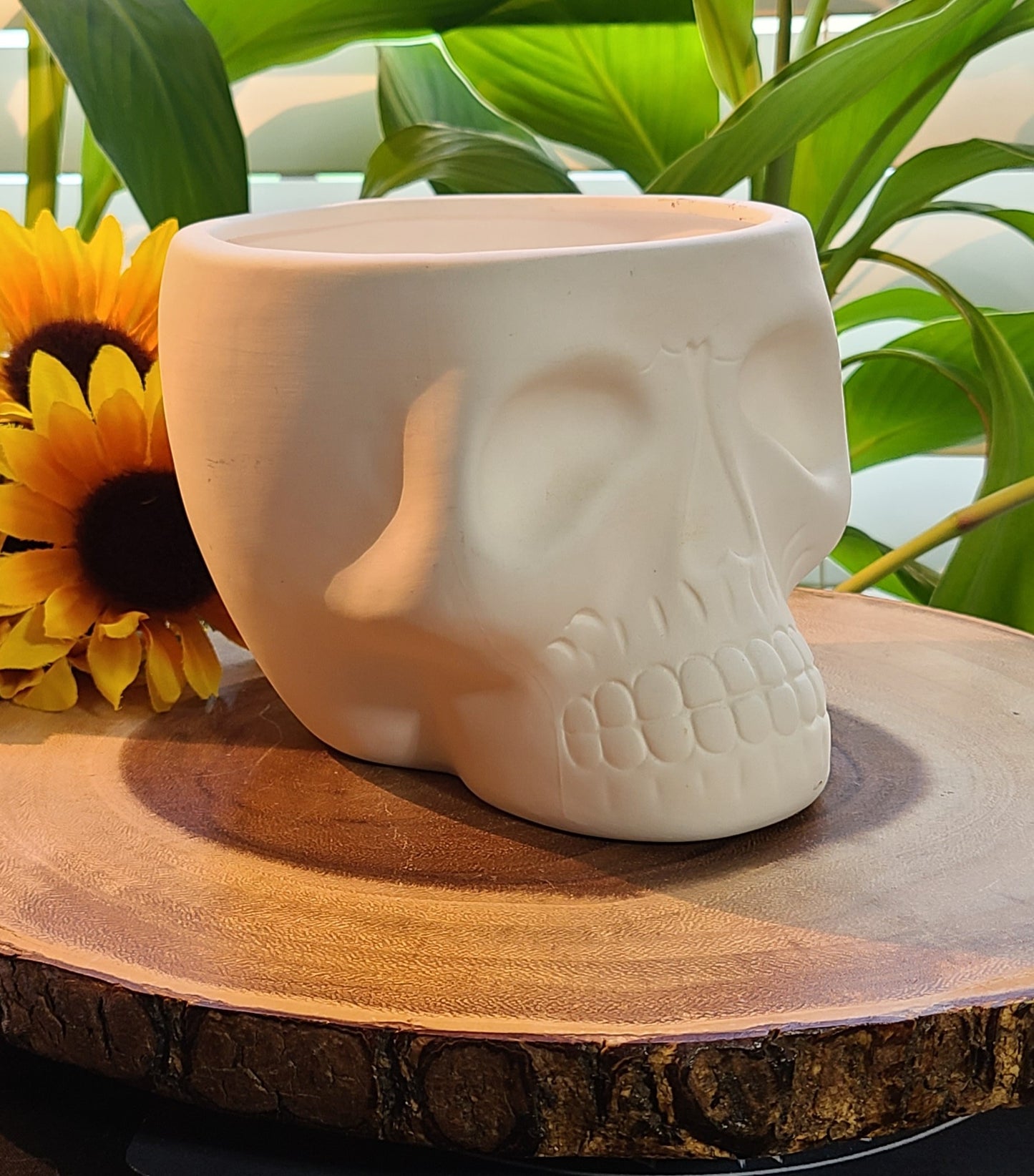 Extra Large Ceramic Skulls