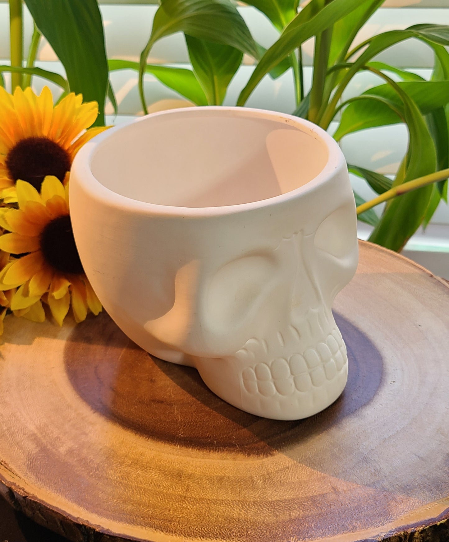 Extra Large Ceramic Skulls