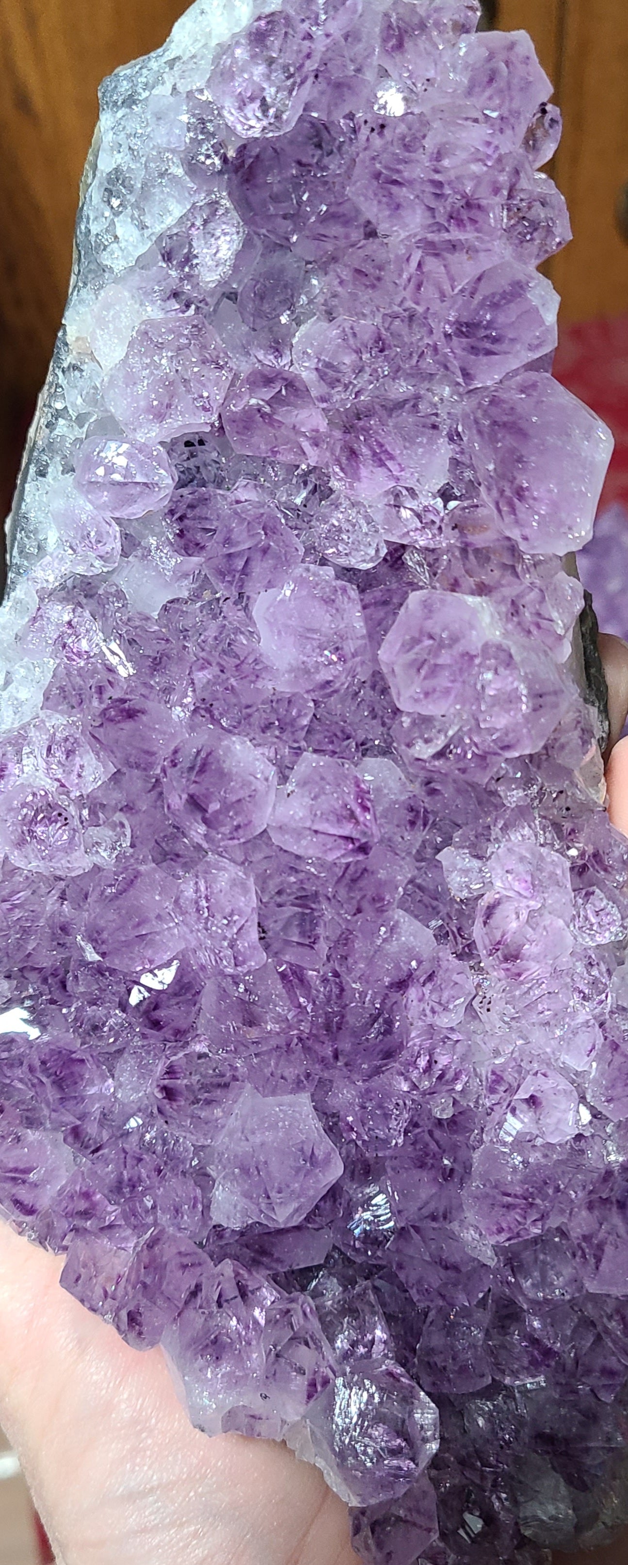 Extra-large Brazilian Amethyst Cutbase Freeforms