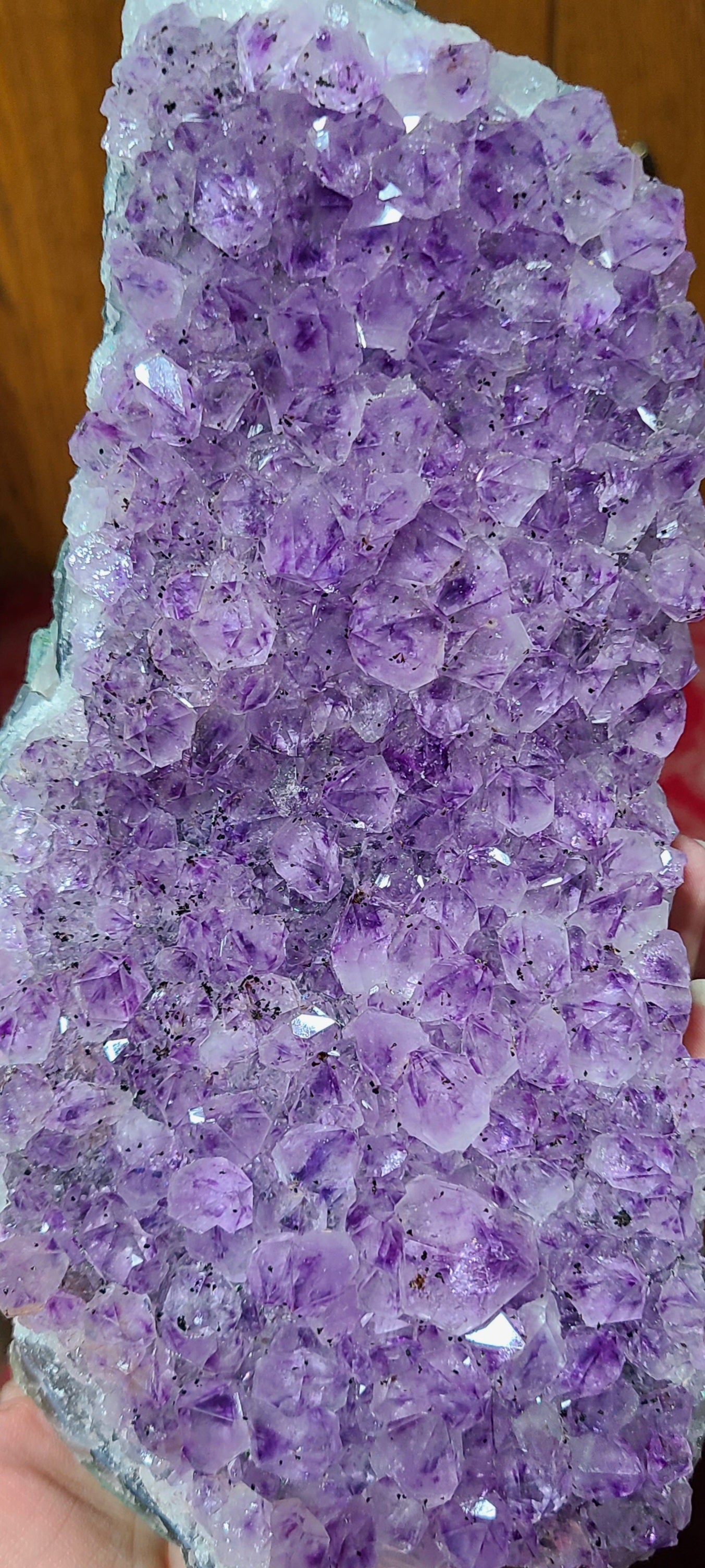 Extra-large Brazilian Amethyst Cutbase Freeforms