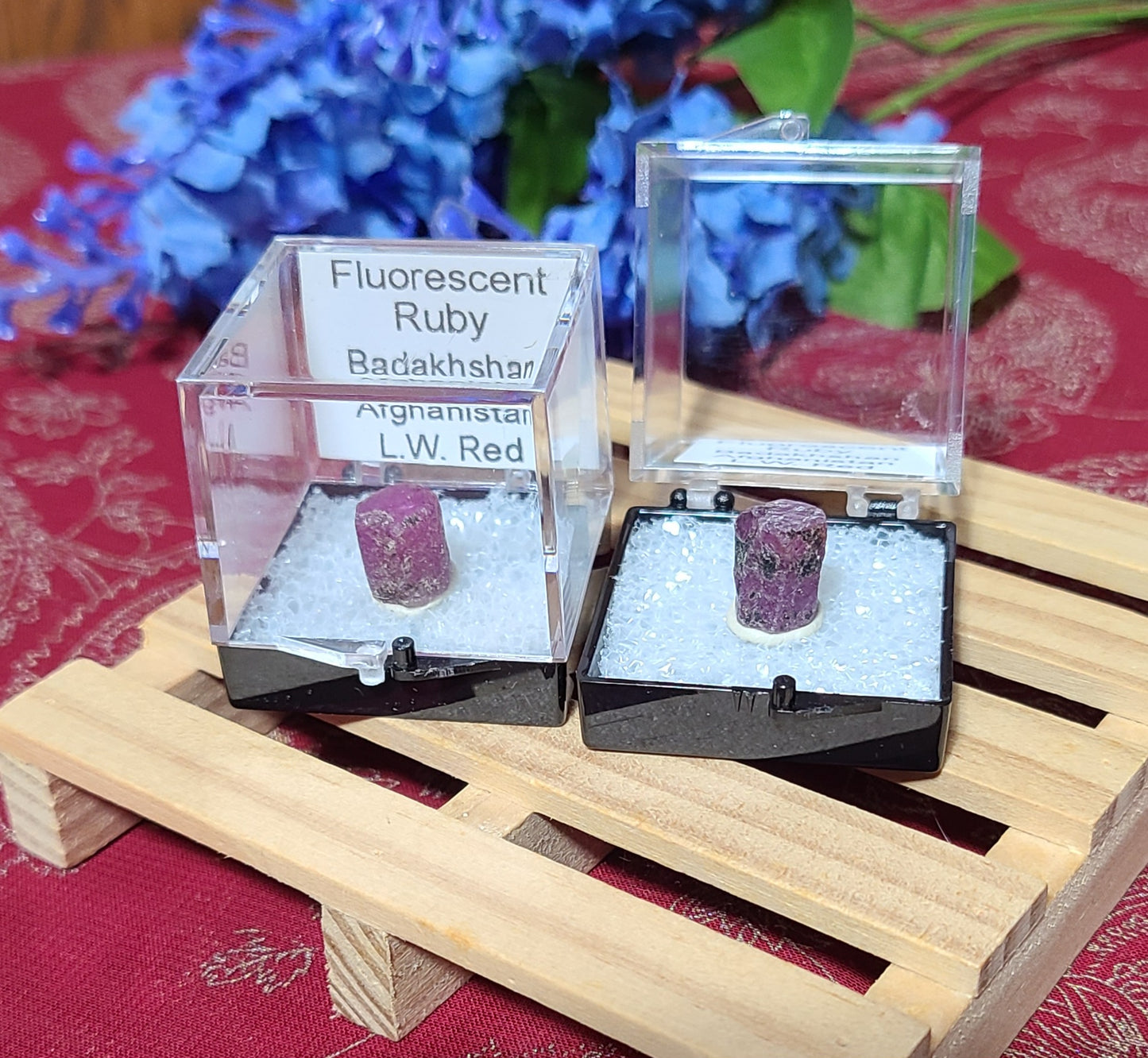 Boxed Ruby Specimens