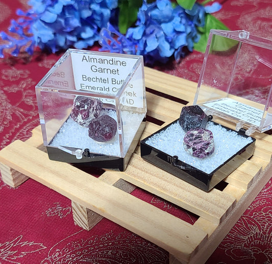 Boxed Almandine Garnet Specimens