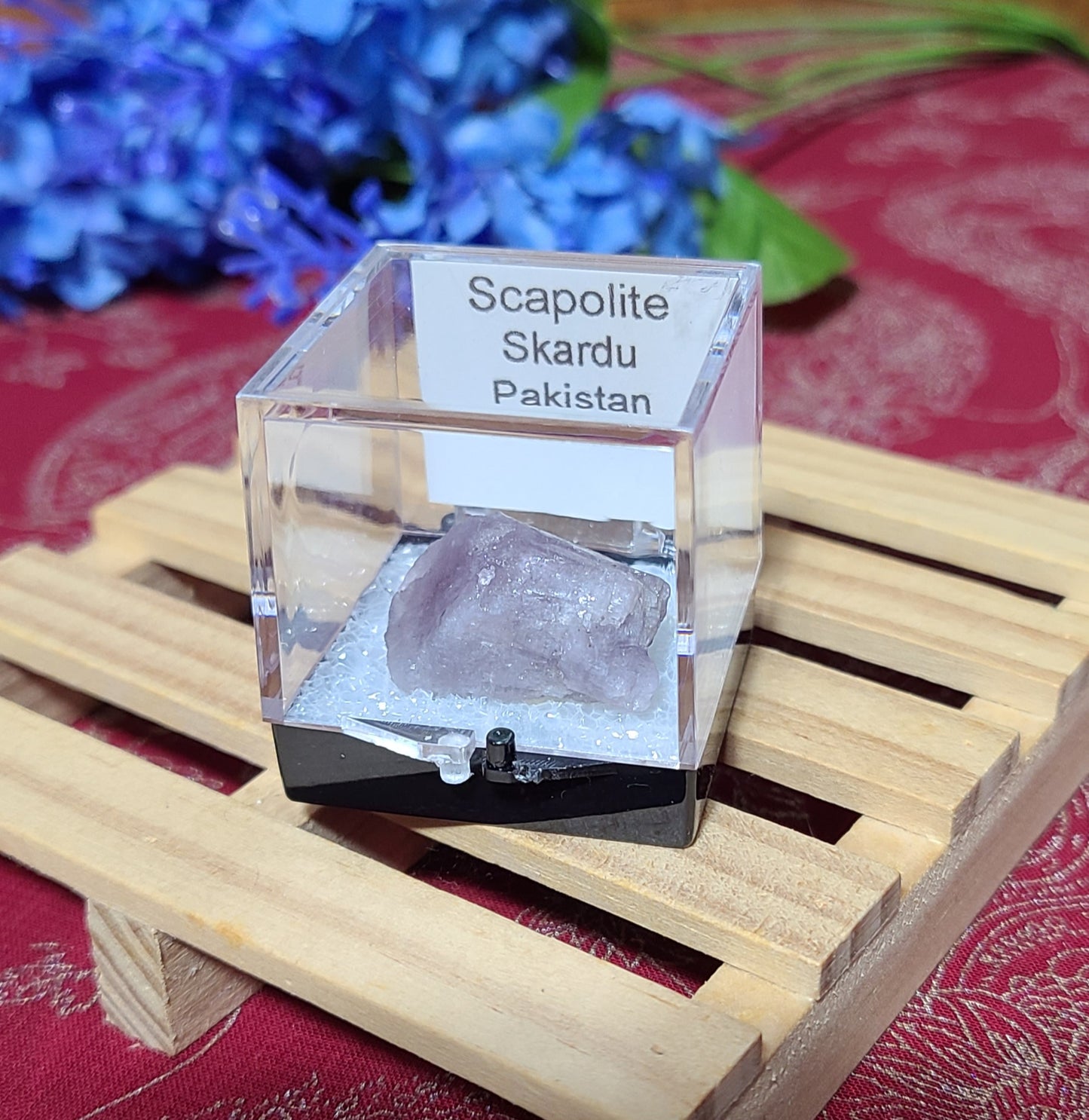 Boxed Scapolite Specimens