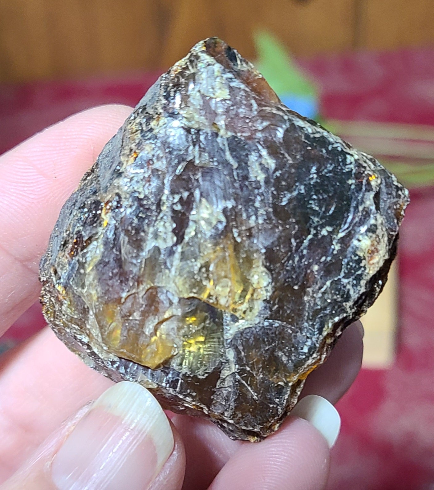 Large Raw Amber Specimens