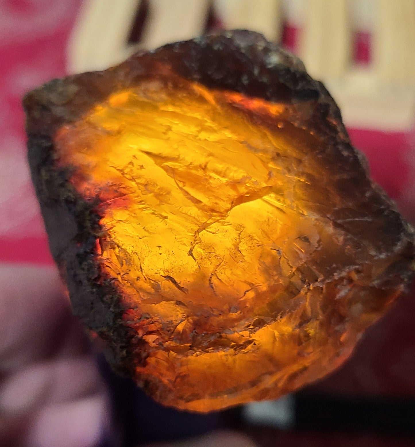 Large Raw Amber Specimens