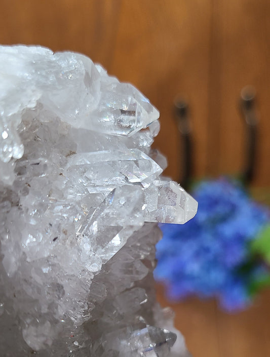 Quartz Point Cluster with Druzy