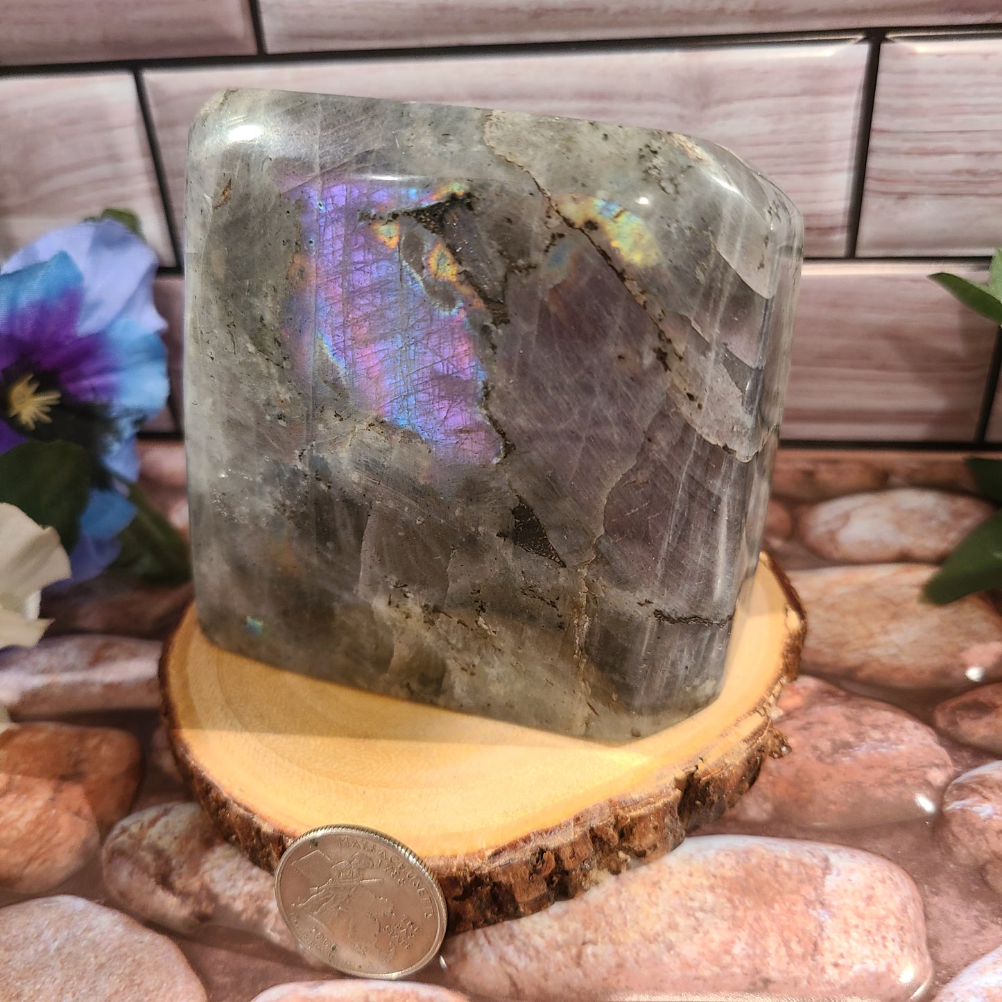 Extra Large Labradorite Freeforms