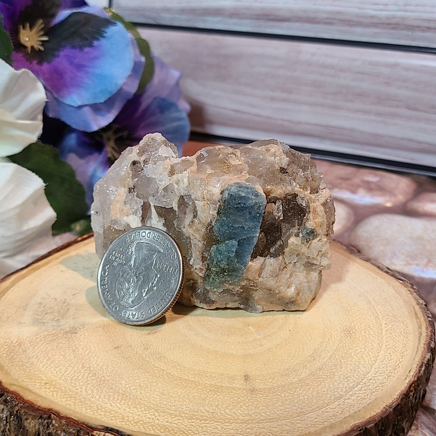 Stunning Aquamarine Specimens in Matrix