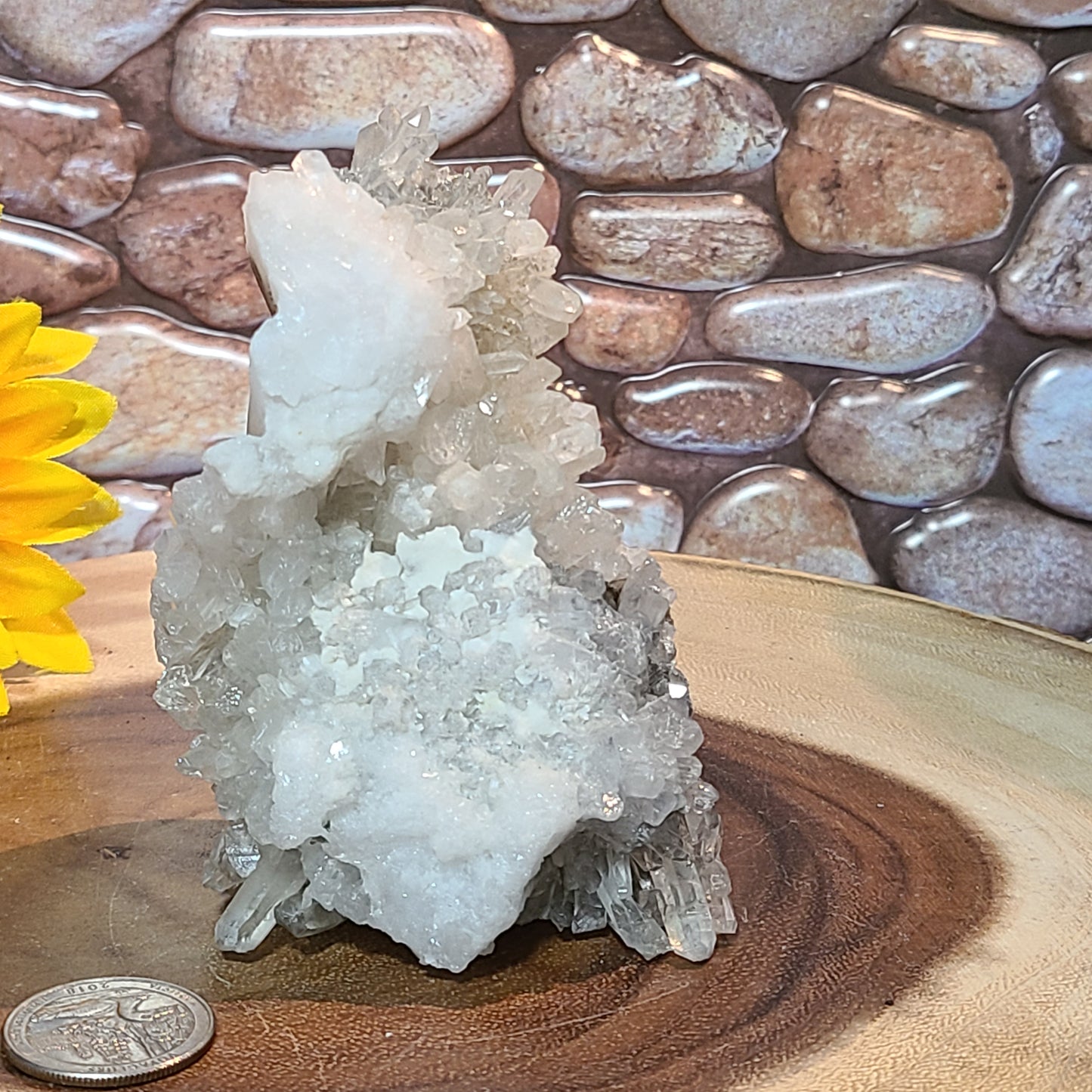 Extra Large Carved Owl - Quartz Cluster and Matrix