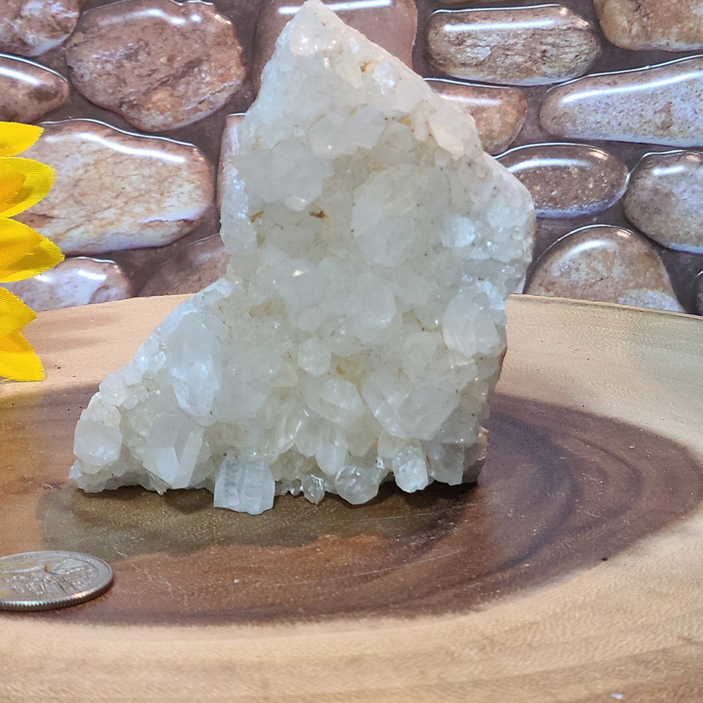 Extra Large Carved Owl - Quartz Cluster and Matrix