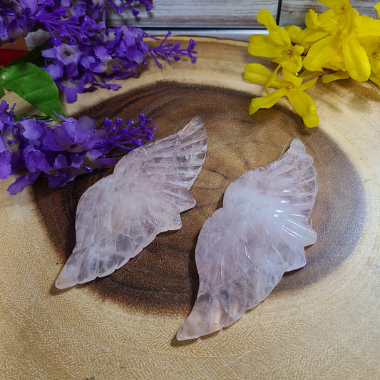 Extra Large Carved Pair Angel Wings