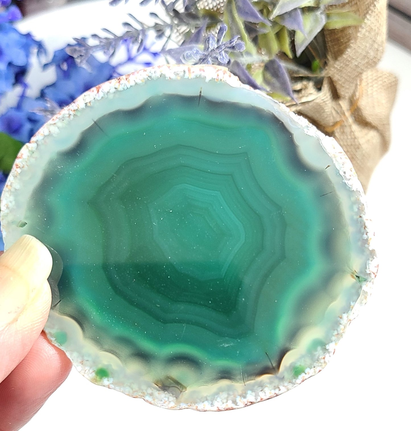 Bold & Beautiful Large Druzy Agate Slices - Purple, Blue, Green