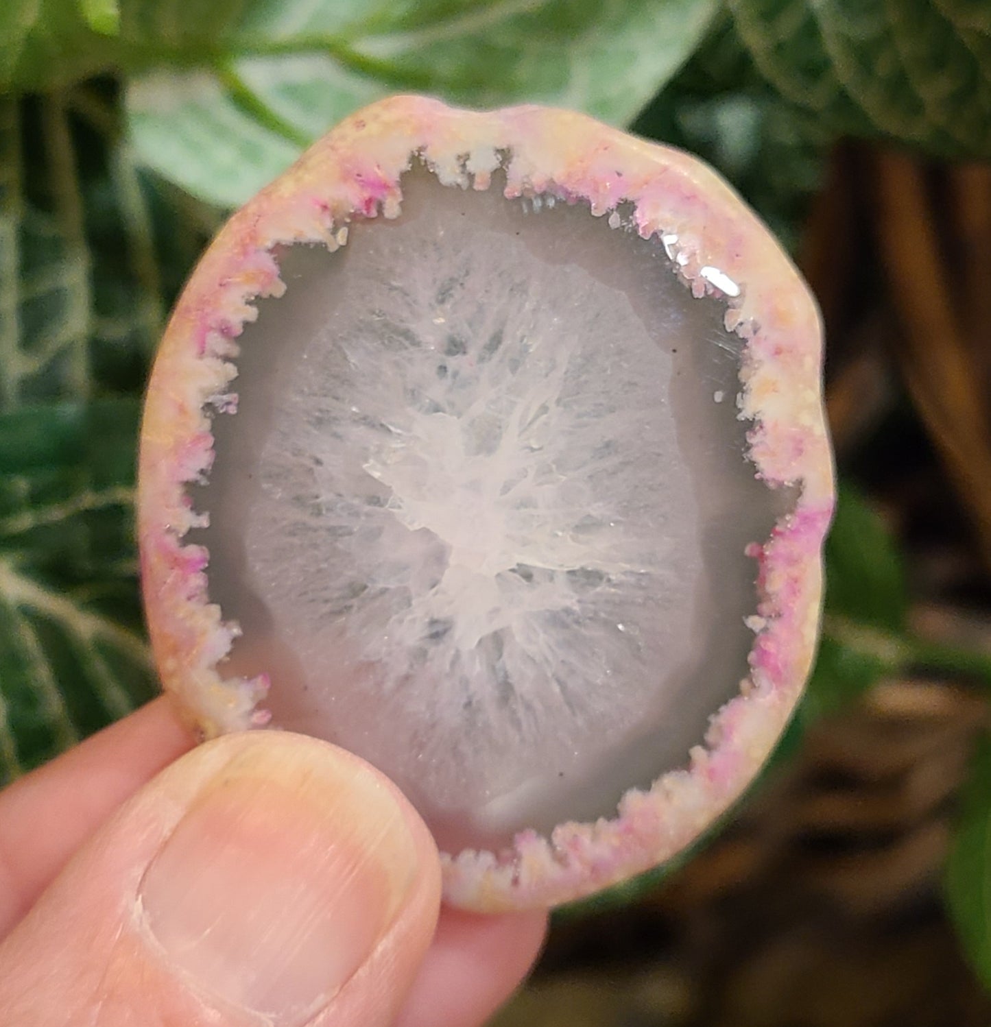 Rare Quartz Slice With Pink Amethyst and Rubellite