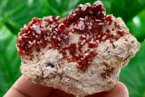 Vanadinite Specimens - For Action and Flow